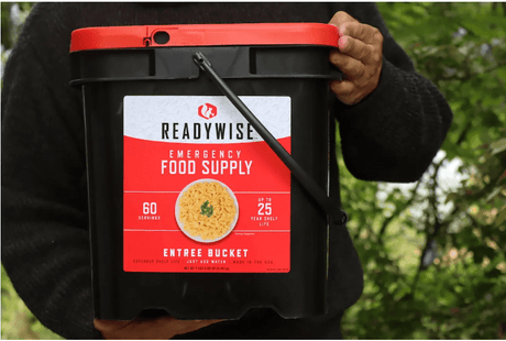 ReadyWise: The Ultimate Ready Meals for Vegetarians