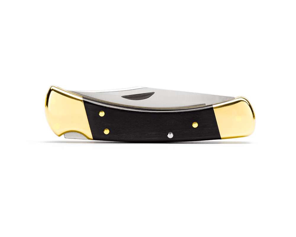 Buck 110 Hunter Folding Lock Knife