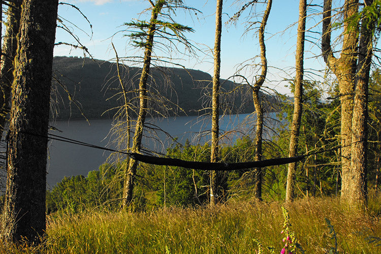 DD Hammocks Hammock Sleeve