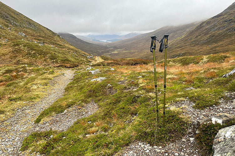 DD Hammocks Hiking Pole