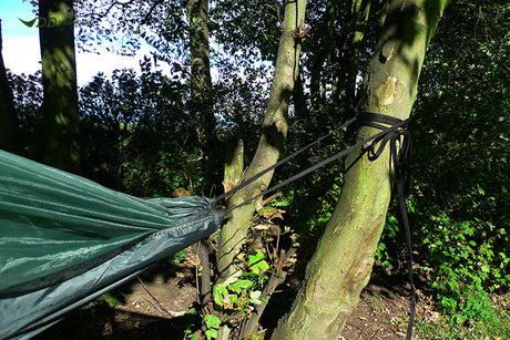 DD Hammocks Strong Webbing - 2 x 5m