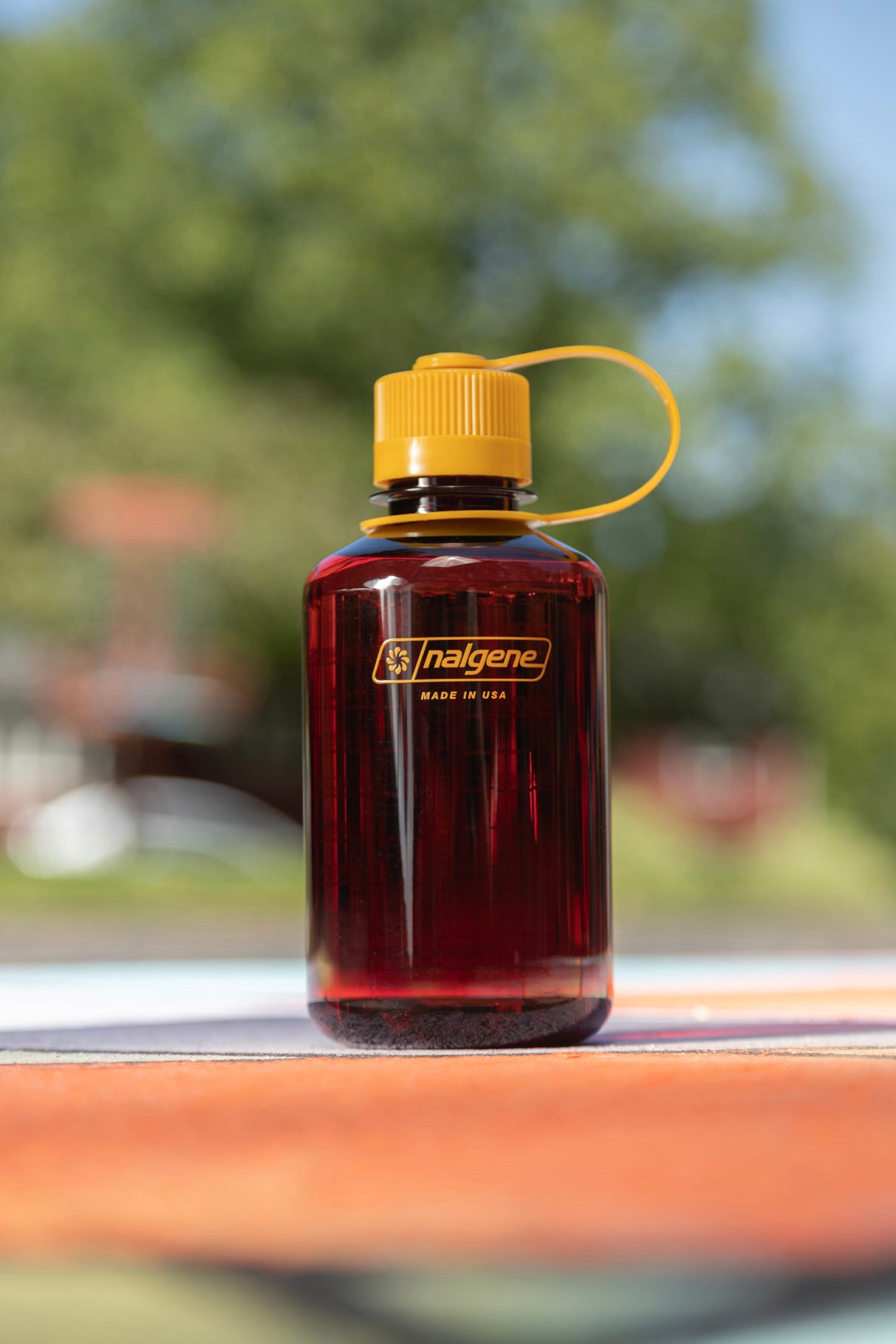 Nalgene 16oz / 0.5L Sustain Narrow Mouth Bottle - Laker