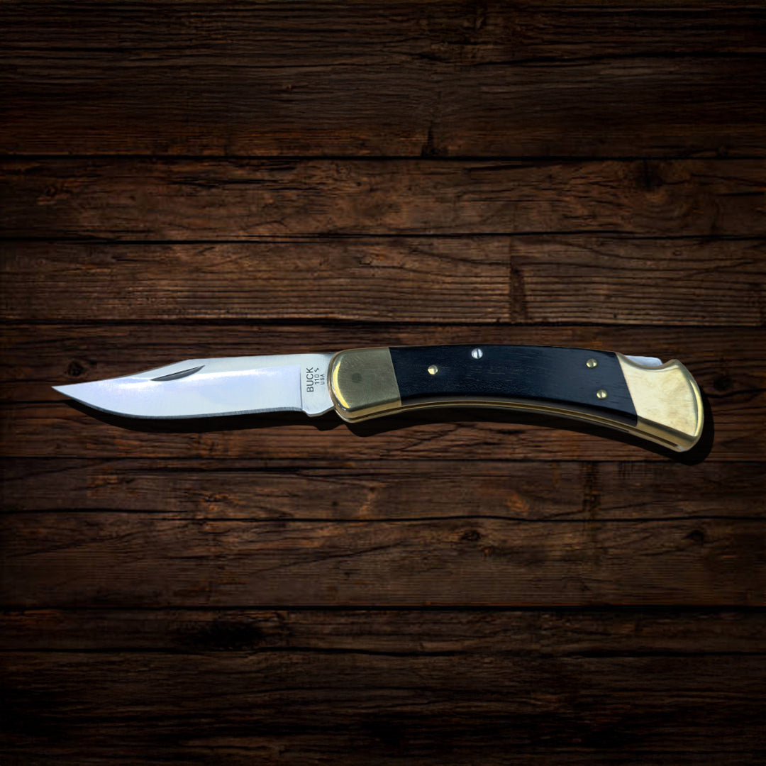 Buck 110 Hunter Folding Lock Knife
