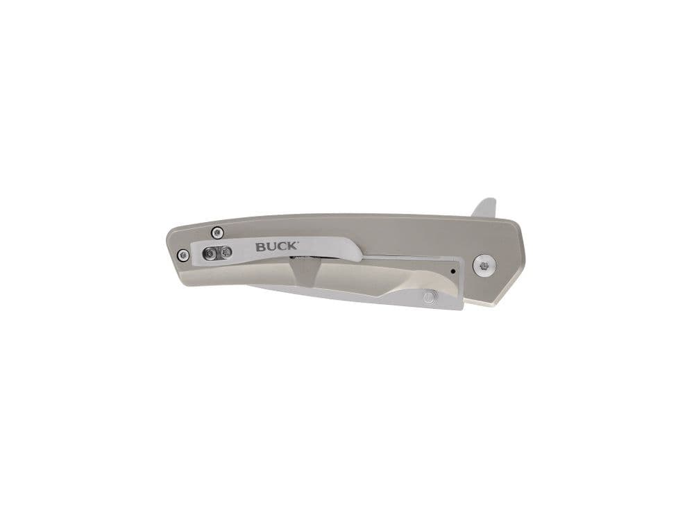 Buck 254 Odessa Folding Lock Knife