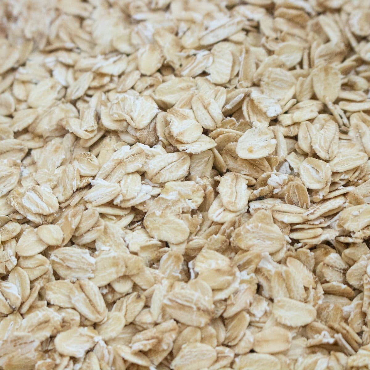 Bulk Ration Food Breakfast Supply - 2KG Oats