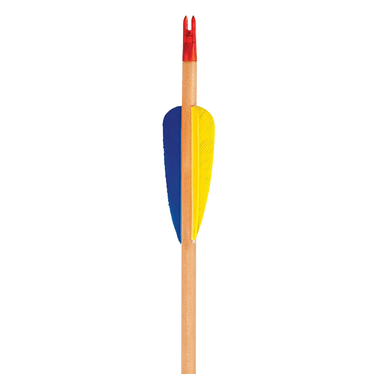 EK Archery Black Point Natural Wooden Feather Arrows 30" - Pack Of 3