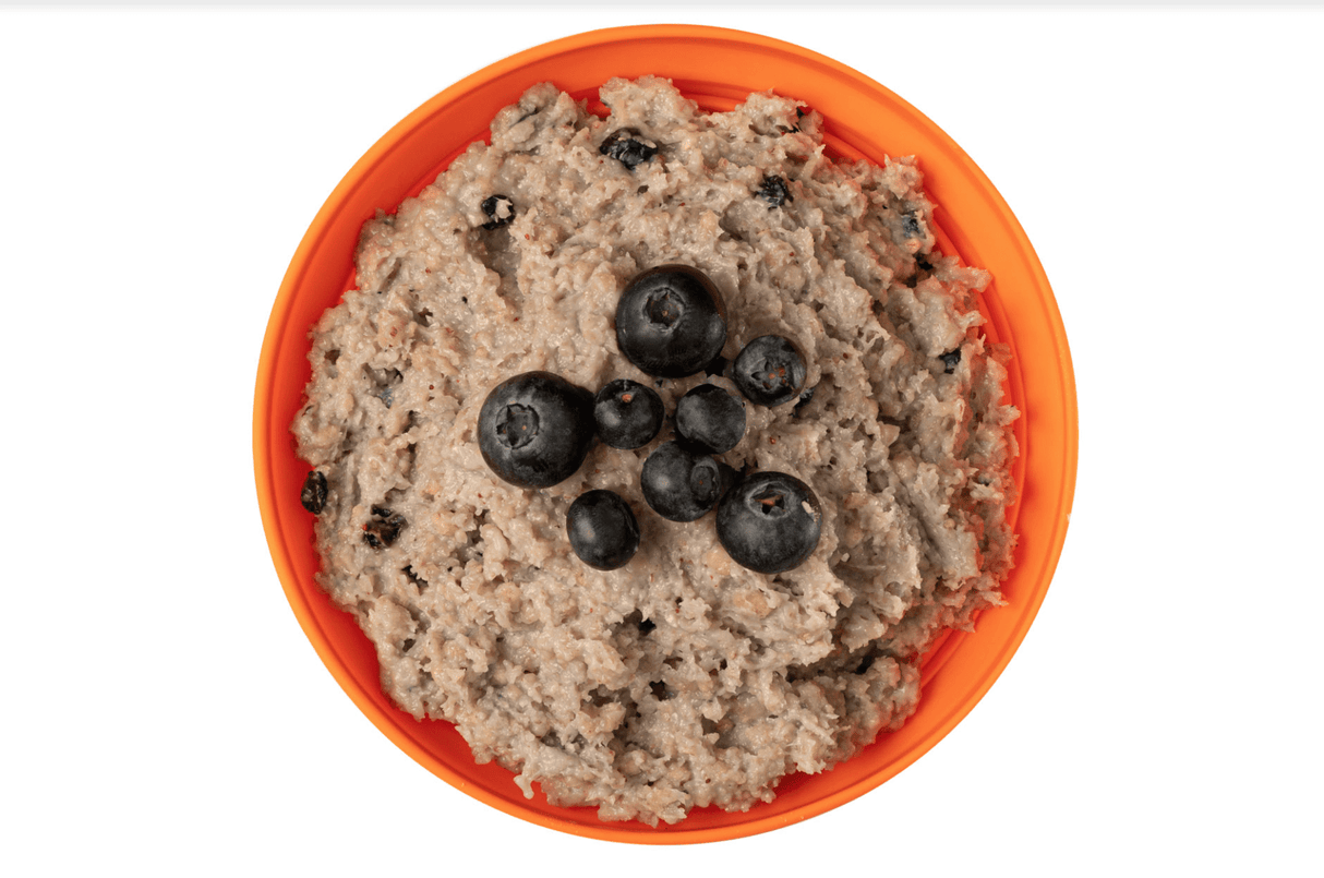 Expedition Foods Freeze Dried Meal Pouch - Breakfast Porridge With Blueberries - Various Sizes