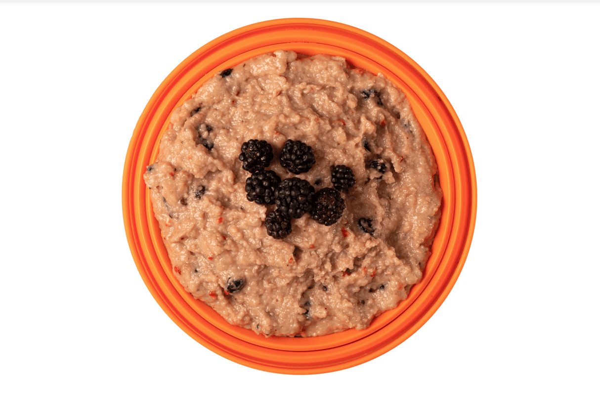 Expedition Foods Freeze Dried Meal Pouch - Custard With Mixed Berries Dessert