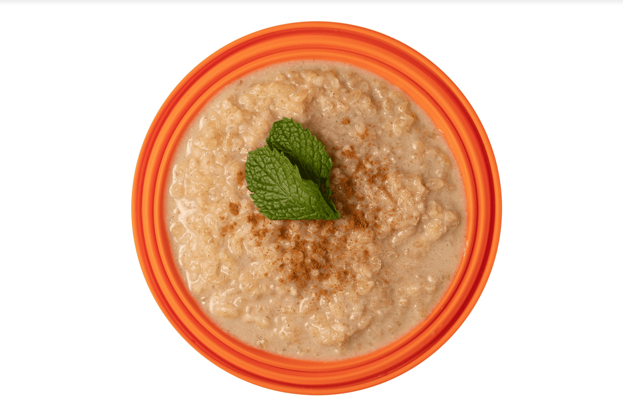 Expedition Foods Freeze Dried Meal Pouch - Rice Pudding With Cinnamon Dessert