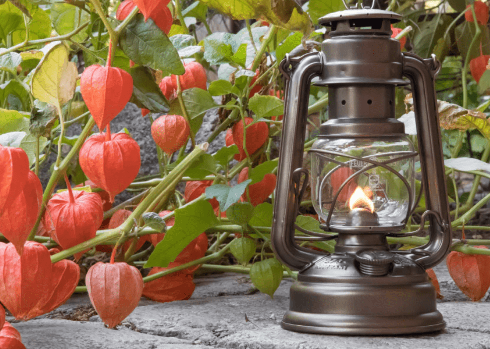 Feuerhand Baby Special 276 Hurricane Lantern - Bronze