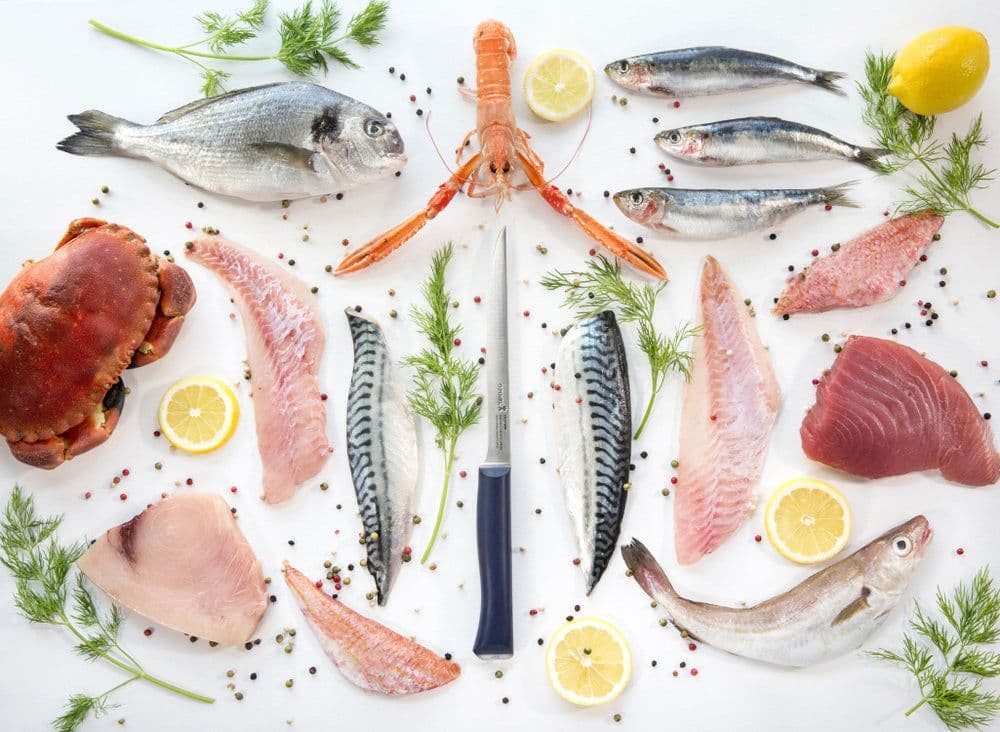 Opinel Intempora N°221 Fillet Knife