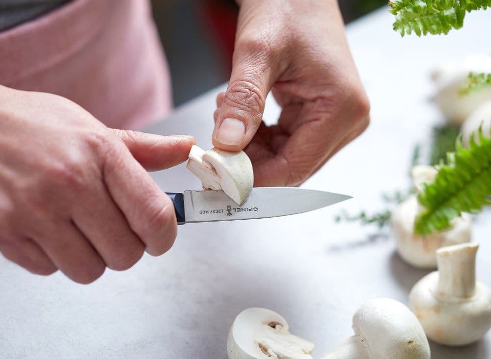 Opinel Intempora N°225 Paring Knife