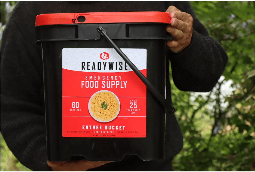 ReadyWise: The Ultimate Ready Meals for Vegetarians