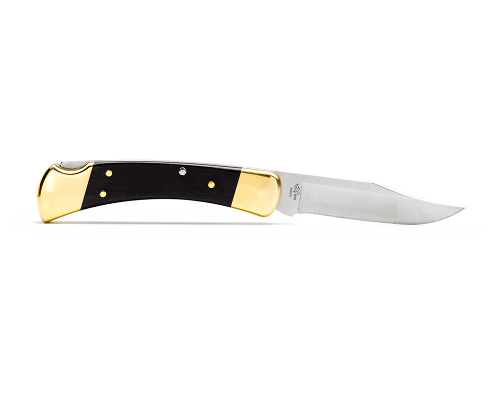 Buck 110 Hunter Folding Lock Knife