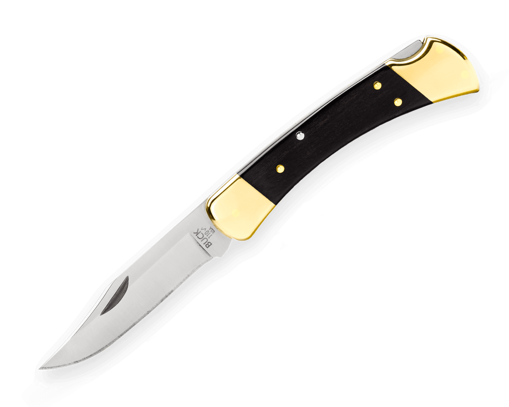Buck 110 Hunter Folding Lock Knife