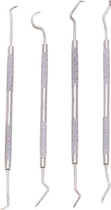 4pc Dental Dentist Pick Set