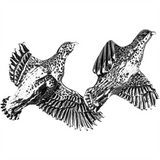 Jack Pyke Brace Of Partridge Pin Badge