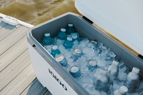 Igloo Maxcold 70QT Cooler Box - Grey