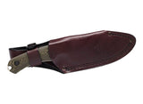 Buck 664 Alpha Hunter Pro Fixed Blade Knife - Walnut DymaLux