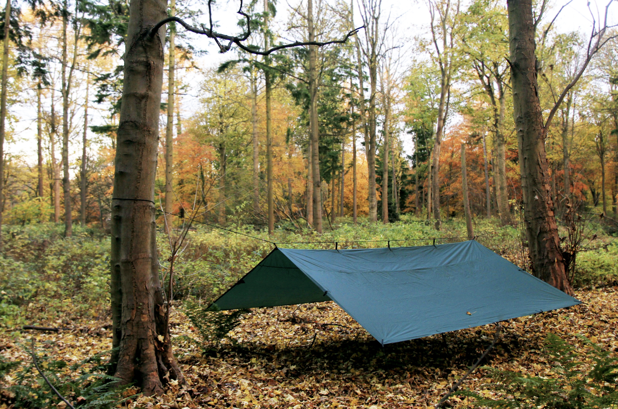 DD Hammocks Tarp 4m x 4m - Olive Green – Preppers Shop UK