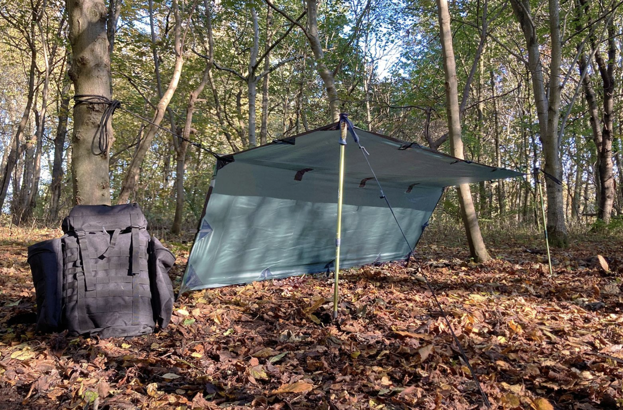 Telone Impermeabile DD Tarp M – Verde Oliva, 3.5x2.4m, 19 Punti Di Fissaggio, Con Picchetti E Tiranti, Per Amaca E Bivacco