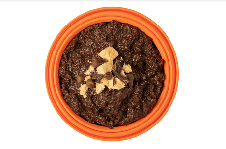 Expedition Foods Freeze Dried Meal Pouch - Chocolate Chip Biscuit Pudding Dessert